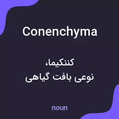 معنی conenchyma به فارسی معنی conenchyma به فارسی