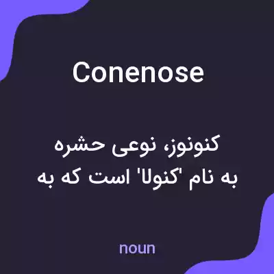 معنی conenose به فارسی معنی conenose به فارسی