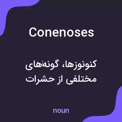 معنی conenoses به فارسی معنی conenoses به فارسی
