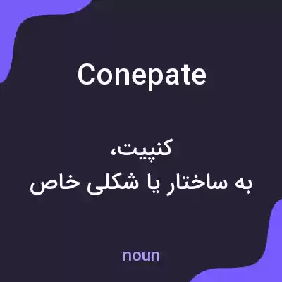 معنی conepate به فارسی معنی conepate به فارسی