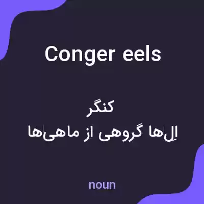 معنی conger eels به فارسی