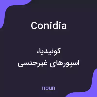 معنی conidia به فارسی