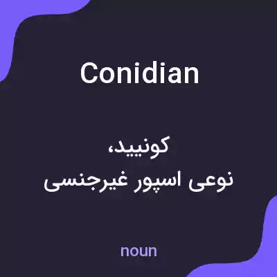 معنی conidian به فارسی معنی conidian به فارسی