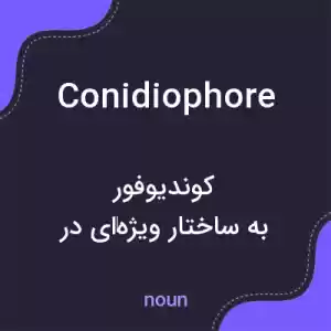 معنی conidiophore به فارسی معنی conidiophore به فارسی