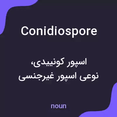 معنی conidiospore به فارسی