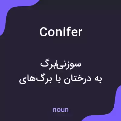 معنی conifer به فارسی معنی conifer به فارسی