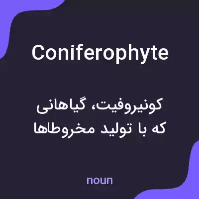 معنی coniferophyte به فارسی معنی coniferophyte به فارسی