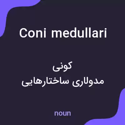 معنی coni medullari به فارسی معنی coni medullari به فارسی