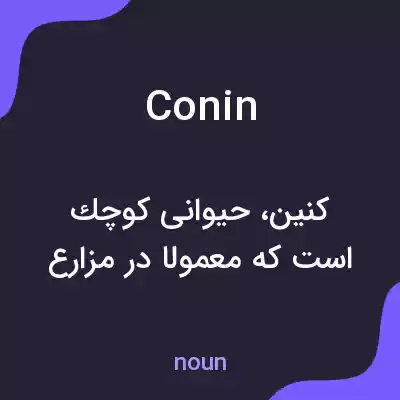 معنی conin به فارسی معنی conin به فارسی