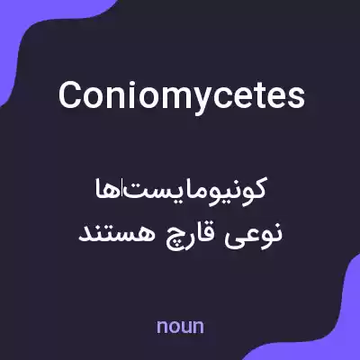 معنی coniomycetes به فارسی معنی coniomycetes به فارسی