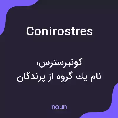 معنی conirostres به فارسی معنی conirostres به فارسی