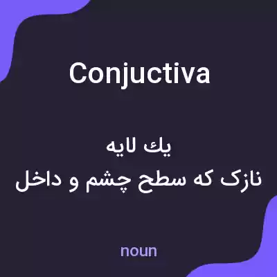 معنی conjuctiva به فارسی معنی conjuctiva به فارسی