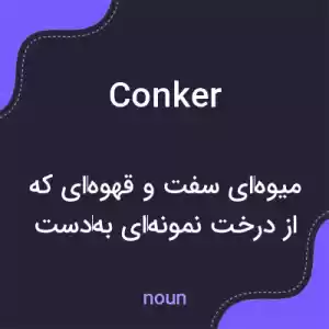 معنی conker به فارسی معنی conker به فارسی