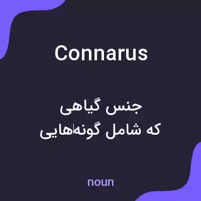 معنی connarus به فارسی معنی connarus به فارسی
