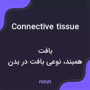 معنی connective tissue به فارسی معنی connective tissue به فارسی