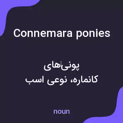معنی connemara ponies به فارسی معنی connemara ponies به فارسی
