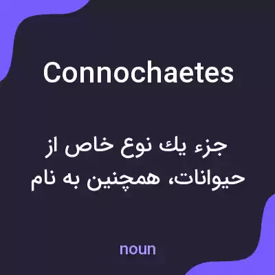 معنی connochaetes به فارسی معنی connochaetes به فارسی