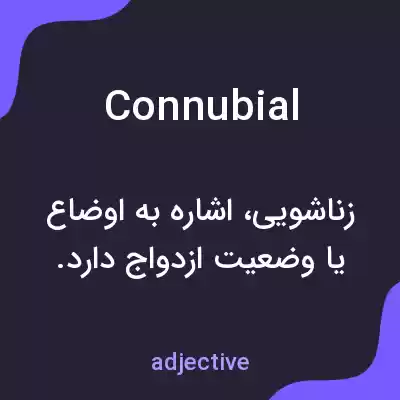 معنی connubial به فارسی معنی connubial به فارسی