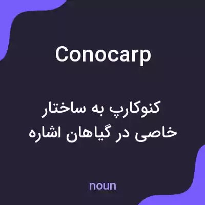 معنی conocarp به فارسی معنی conocarp به فارسی