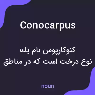 معنی conocarpus به فارسی معنی conocarpus به فارسی