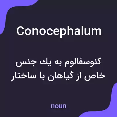 معنی conocephalum به فارسی معنی conocephalum به فارسی