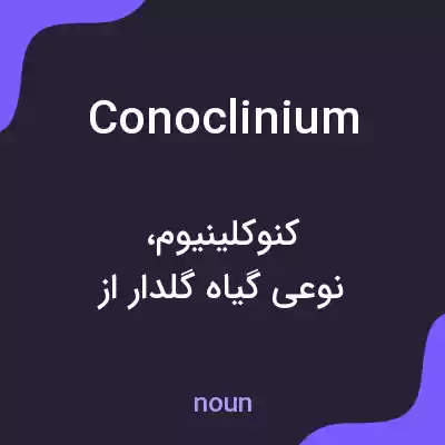 معنی conoclinium به فارسی معنی conoclinium به فارسی
