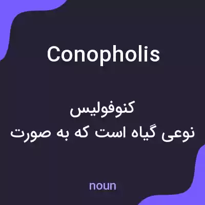 معنی conopholis به فارسی معنی conopholis به فارسی