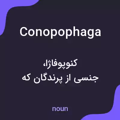 معنی conopophaga به فارسی معنی conopophaga به فارسی