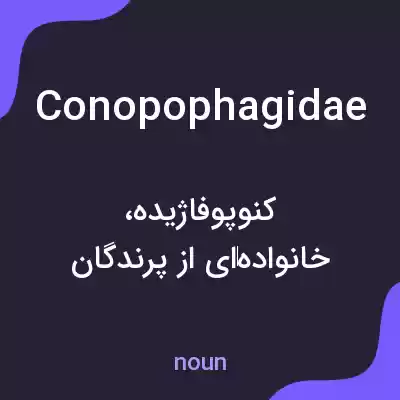 معنی conopophagidae به فارسی معنی conopophagidae به فارسی