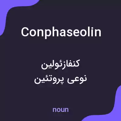 معنی conphaseolin به فارسی معنی conphaseolin به فارسی