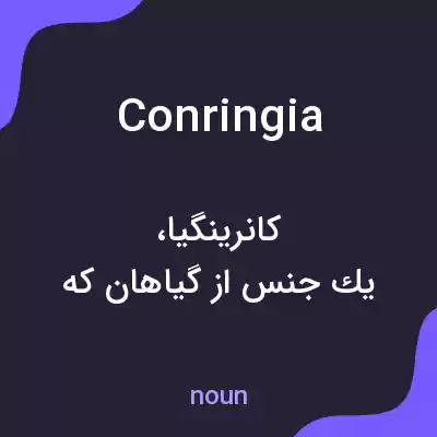 معنی conringia به فارسی معنی conringia به فارسی