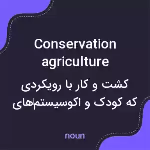 معنی conservation agriculture به فارسی معنی conservation agriculture به فارسی