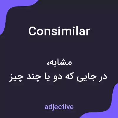 معنی consimilar به فارسی معنی consimilar به فارسی