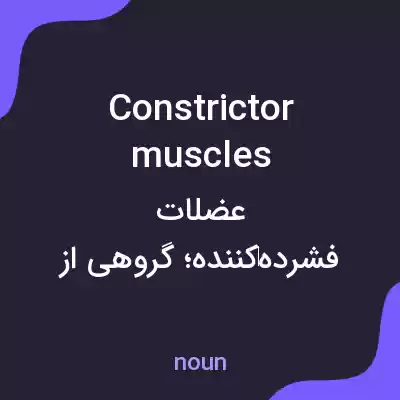 معنی constrictor muscles به فارسی معنی constrictor muscles به فارسی