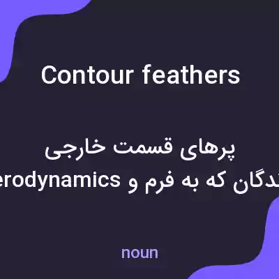 معنی contour feathers به فارسی معنی contour feathers به فارسی