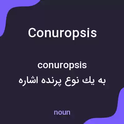 معنی conuropsis به فارسی معنی conuropsis به فارسی