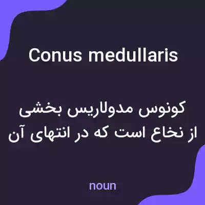 معنی conus medullaris به فارسی معنی conus medullaris به فارسی