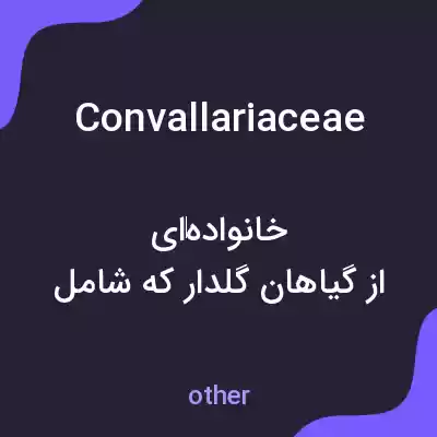 معنی convallariaceae به فارسی معنی convallariaceae به فارسی