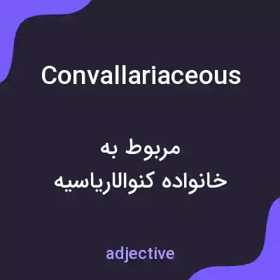 معنی convallariaceous به فارسی معنی convallariaceous به فارسی