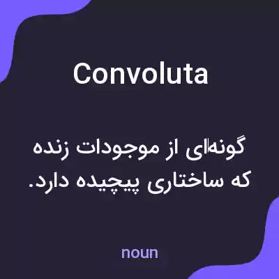معنی convoluta به فارسی معنی convoluta به فارسی