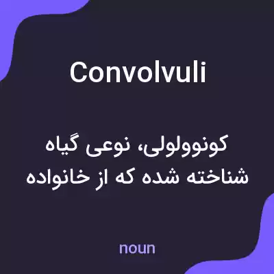 معنی convolvuli به فارسی معنی convolvuli به فارسی