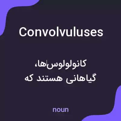 معنی convolvuluses به فارسی