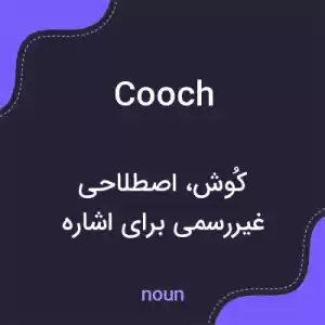 معنی cooch به فارسی معنی cooch به فارسی