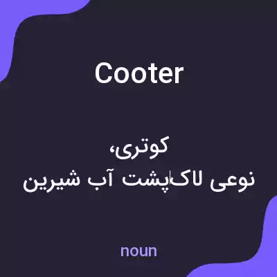 معنی cooter به فارسی معنی cooter به فارسی
