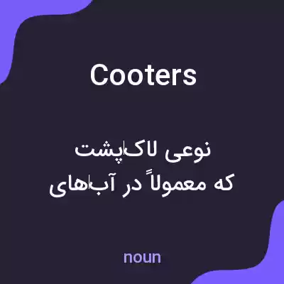 معنی cooters به فارسی معنی cooters به فارسی