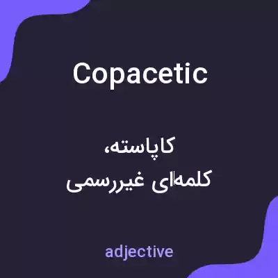 معنی copacetic به فارسی معنی copacetic به فارسی