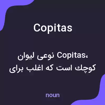 معنی copitas به فارسی معنی copitas به فارسی