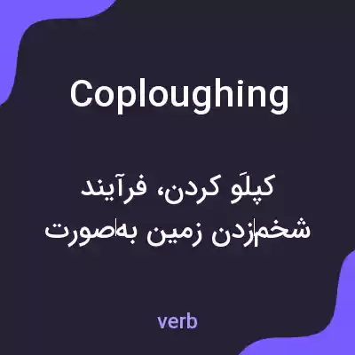 معنی coploughing به فارسی معنی coploughing به فارسی