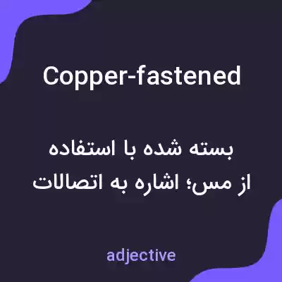 معنی copper-fastened به فارسی معنی copper-fastened به فارسی