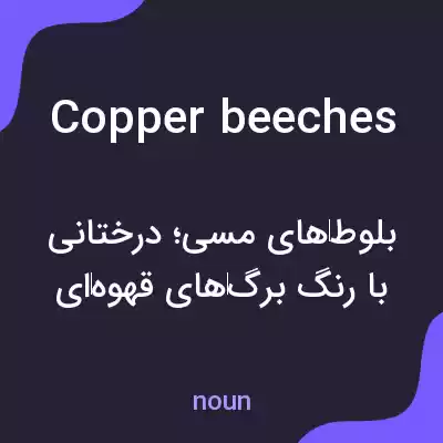 معنی copper beeches به فارسی معنی copper beeches به فارسی
